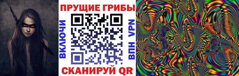 Галлюциногенные грибы GOLDEN TEACHER  ссылка на мегу tor  Партизанск 